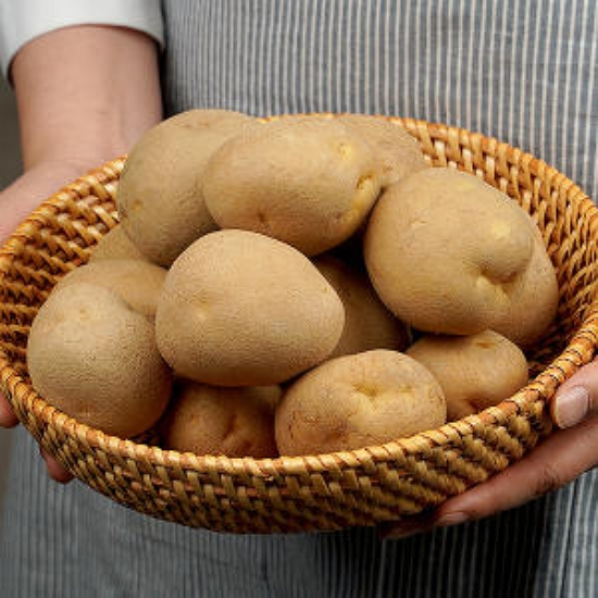 �ѾƸ������ ��ȭ�� ���� Ư 3kg