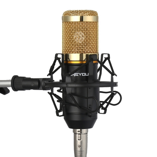 ZINGYOU BM-800