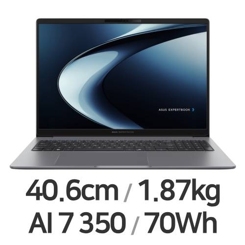 ASUS ExpertBook P3 PM3606CKA-MB0469