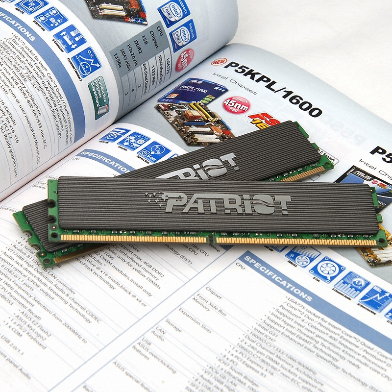 PATRIOT DDR2-1066 ELKR2 패키지 (4GB(2Gx2))_이미지