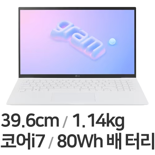LG전자 2023 그램15 15ZD90R-GX76K WIN11 (SSD 256GB)