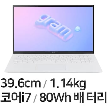 LG전자 2023 그램15 15ZD90R-GX76K WIN11
