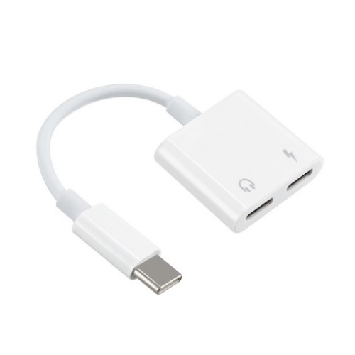 BF489 Type C to C 젠더