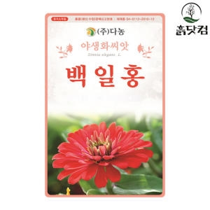 다농 백일홍씨앗 150립이미지입니다. 누르면 해당 게시물로 새창이동합니다.