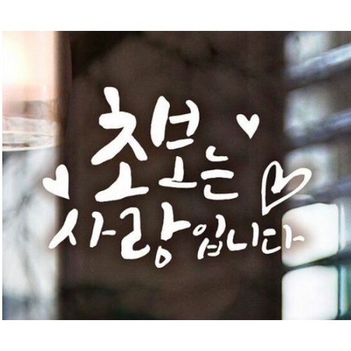 제제데코 자동차스티커 초보는 사랑입니다 하트 (화이트)_이미지