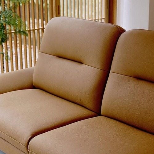 �ٿ�� ���� ��ü õ������ ���� 3�ο�