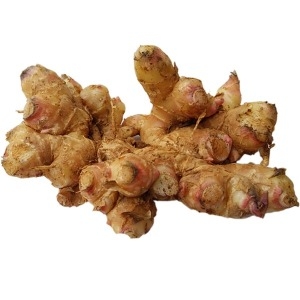 생강마트 봉동 토종생강 1kg 2022 가을 수확 토종 명품 약생강