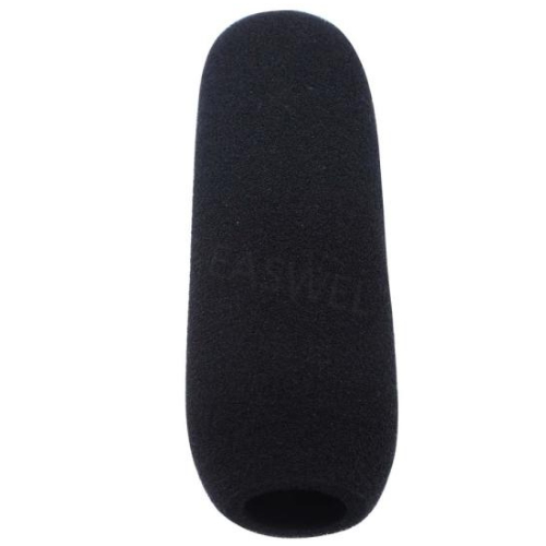 SONY 폼 윈드스크린