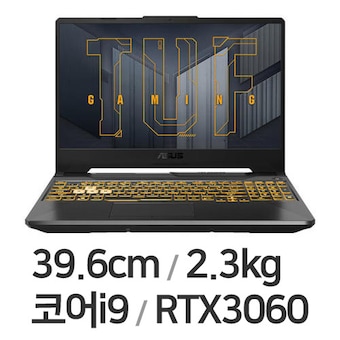 ASUS TUF Gaming F15 FX506HM-HN003 WIN10 64GB램