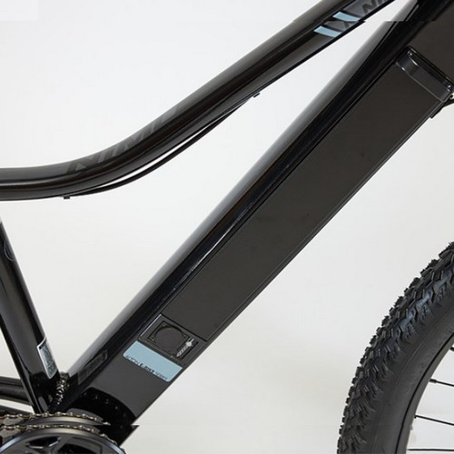 알톤스포츠 전기자전거 배터리 10Ah_이미지