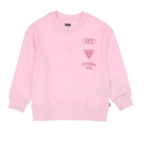 프렌치테리그래픽풀오버 V253SW372PI