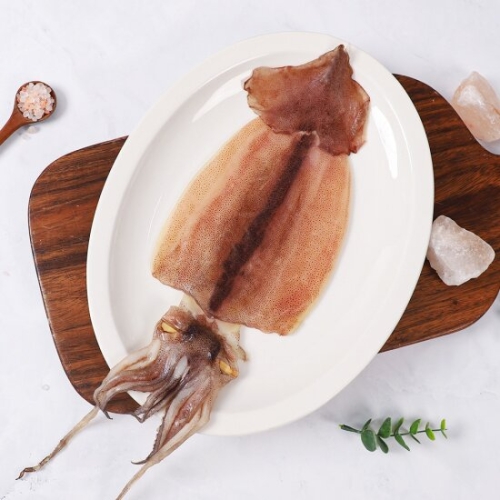 구룡포 반건조 오징어 5미 중 550g