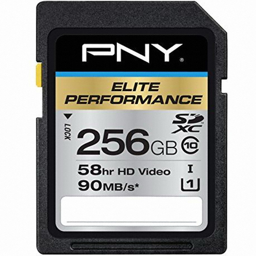 PNY SDXC CLASS10 UHS-I Elite Performance 90B/s (해외구매,256GB)