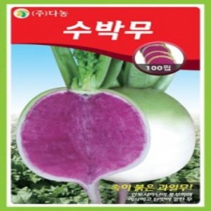 AR 수박무 씨앗 100립