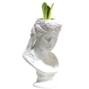 모리아트 인테리어 석고상화분 아리아스 20cm내외 공기정화식물 선인장 화분