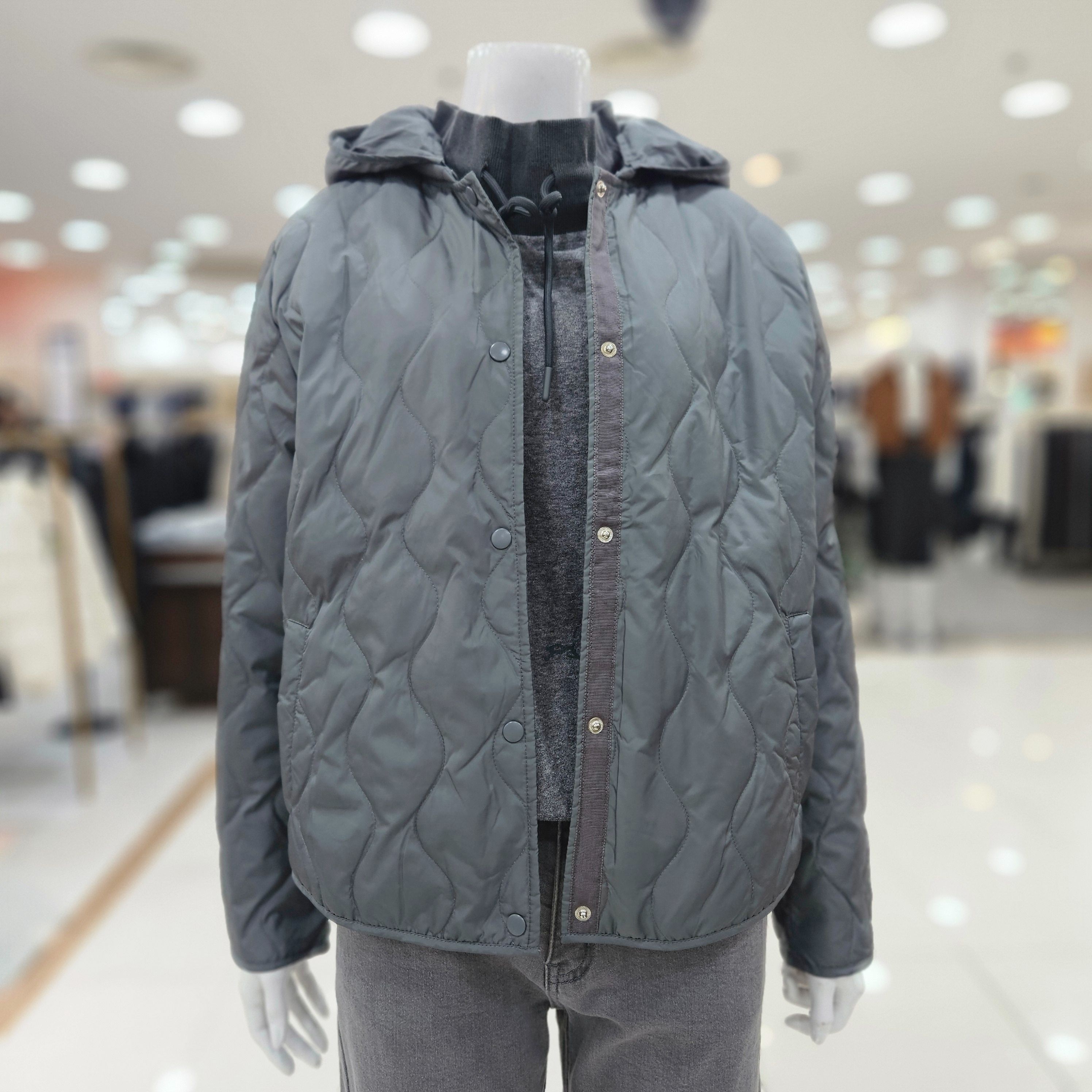 �Ƹ��� ������ �淮���� DSDPDM700_DG