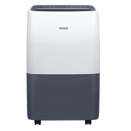 ���н� �Ǽ� DXTH100-JWK