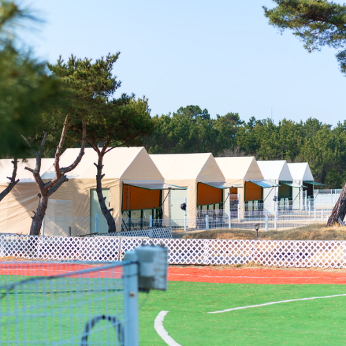 [태안] 파라독스 애견펜션 글램핑