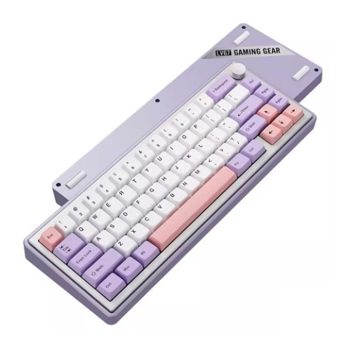 1stPlayer LV67 (해외구매)