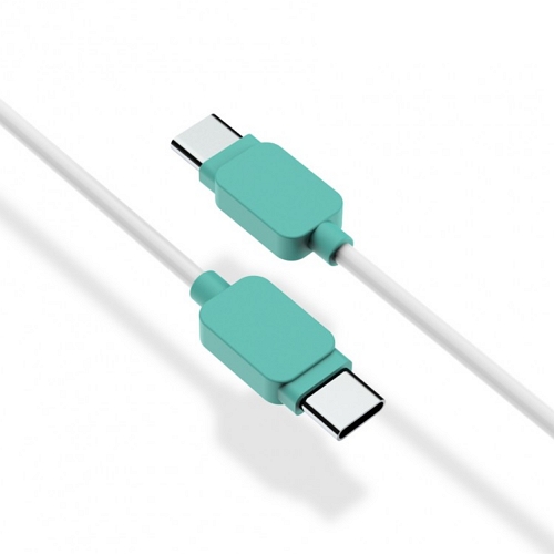 템플러 TEM-CTC-100 C to C타입 케이블