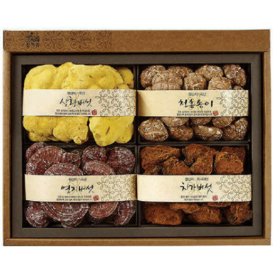 ������� 87-01 ���ѹ��� ��Ʈ ��