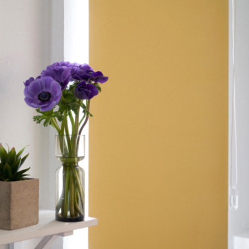 �ѻ� PREMIUM �ϸ� �ѽ�ũ��