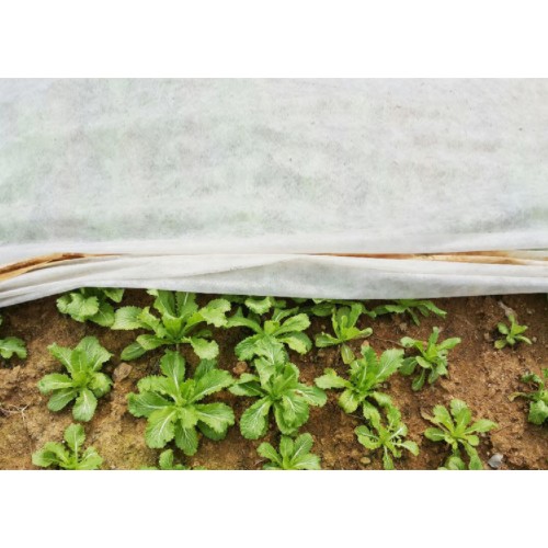세원비닐 텃밭용 서리방지 부직포 (180cm x 20m)