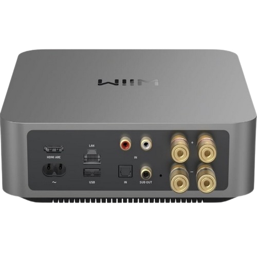 Wiim AMP PRO (해외구매)_이미지