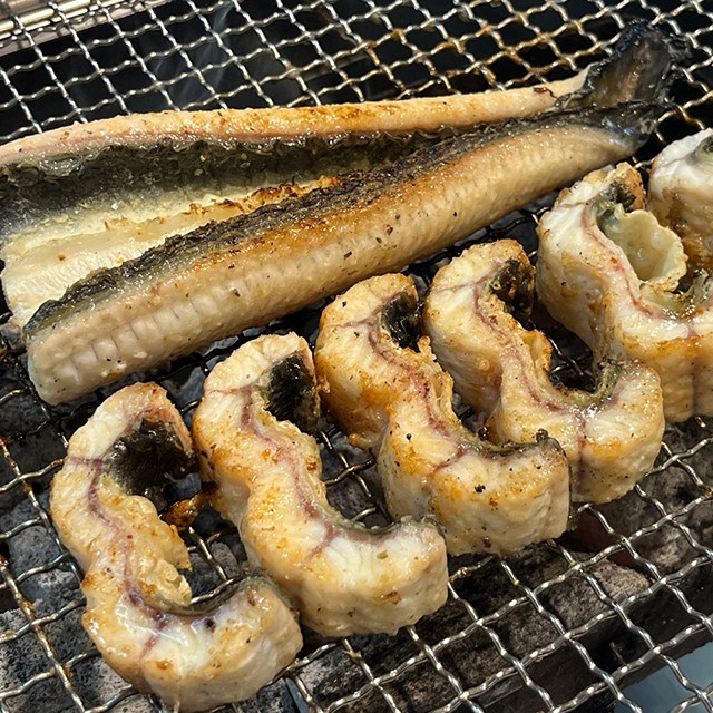 풍천장어 1kg_이미지