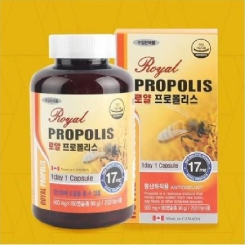 순수한삼  로얄프로폴리스 500mg x 180캡슐 6개월분   로얄제리   항산화에도움_이미지