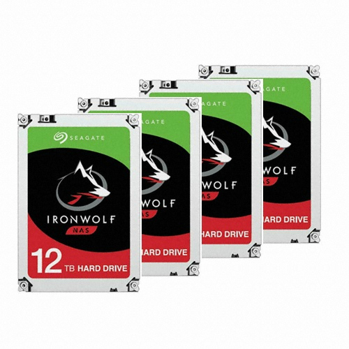 Seagate IronWolf 패키지 7200/256M ST12000VN0007 (4x12TB)_이미지