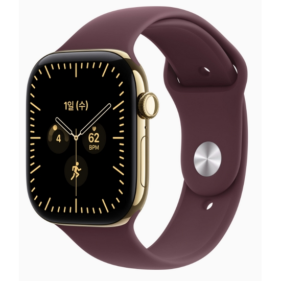 APPLE 워치 시리즈12 46mm Cellular 티타늄 (래디언트골드_스포츠밴드)_이미지