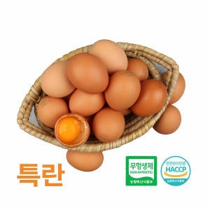 금포영농조합법인 알부자집 무항생제 계란 특란 30구 (4개)