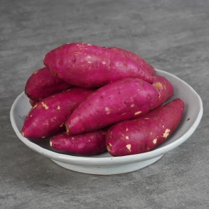 다모영농조합법인 꿀밤고구마 중 10kg