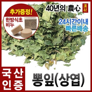 자애인 국산 뽕잎 300g 상엽 뽕나무잎 뽕잎차 뽕나무차_이미지