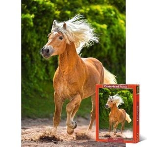 ����ť �������� �����ϴ� ���ø��� 500�ǽ� LD52981