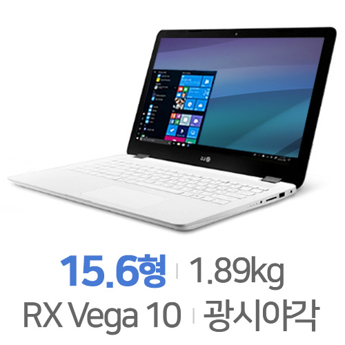 LG전자 울트라PC 15UD490-GX76K-10 [SSD 256GB]