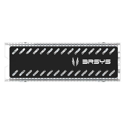 3RSYS ����8 M.2 SSD �濭��