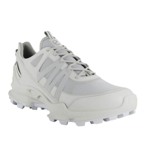 에코 BIOM C-TRAIL M GTX 바이옴 씨-트레일 M 803254-60955
