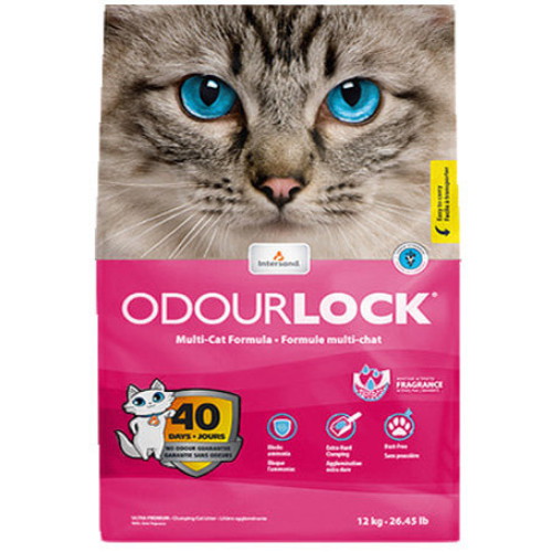 ���ͻ��� ������ ���̺��Ŀ�� 12kg