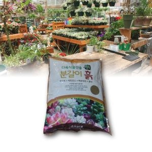 다육선인장 전용분갈이 분재생장흙 통기성 생장발육/분갈이흙/배양토/화분분갈이/상토/분갈이/혼합토/원