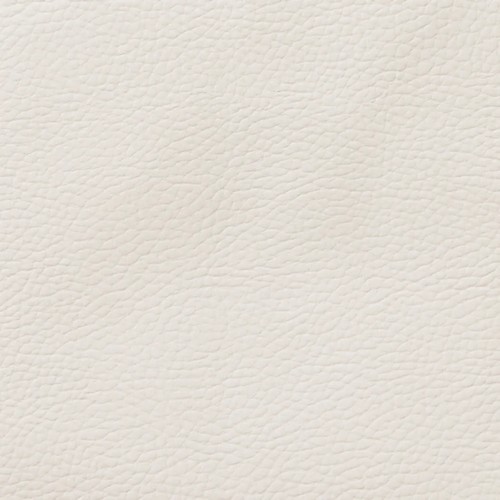 �ѻ� ���׵� ���� ���ʰ����� �йи�ħ�� SS+Q