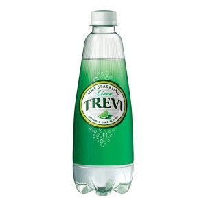 롯데칠성음료 트레비 라임 300ml (6개)