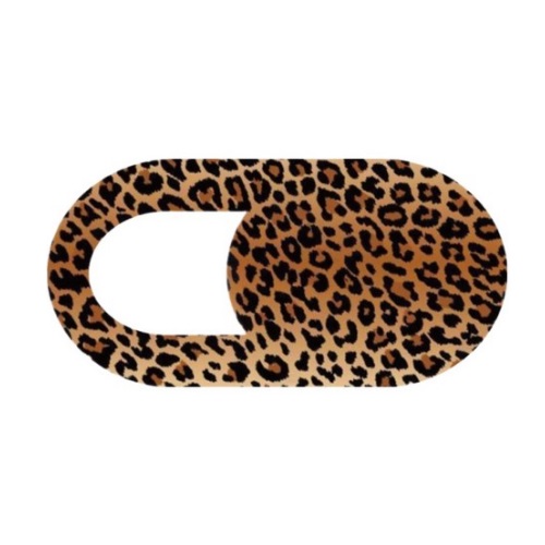 디미스 캠 커버