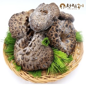 청림상사 자연산 능이버섯 냉동 C급 1kg (1개)_이미지