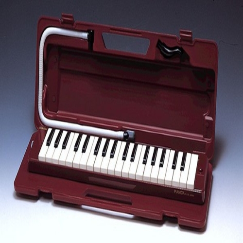 �߸��� P-37D