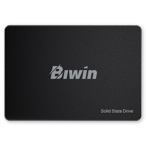 BIWIN M100 해외구매 (256GB)_이미지