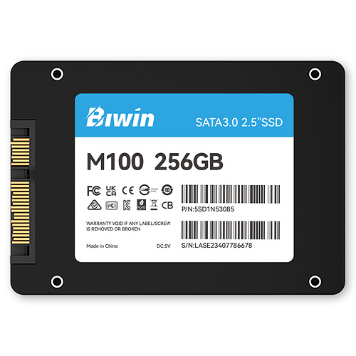 BIWIN M100 해외구매 (256GB)_이미지