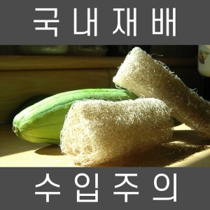 [불명] 디엠지팜 천연수세미 못난이 수세미_이미지