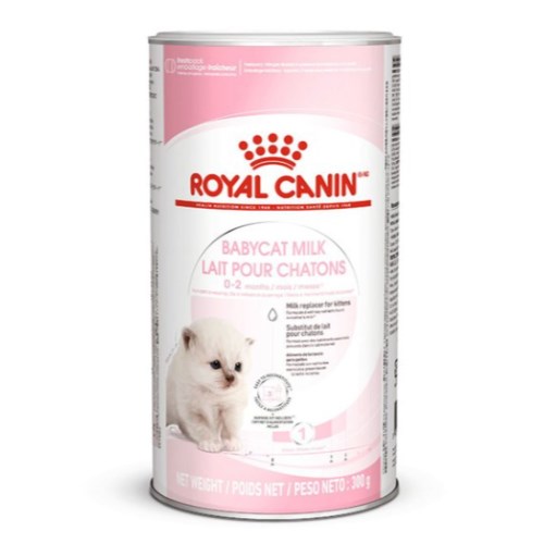 캣 베이비캣 밀크 300g